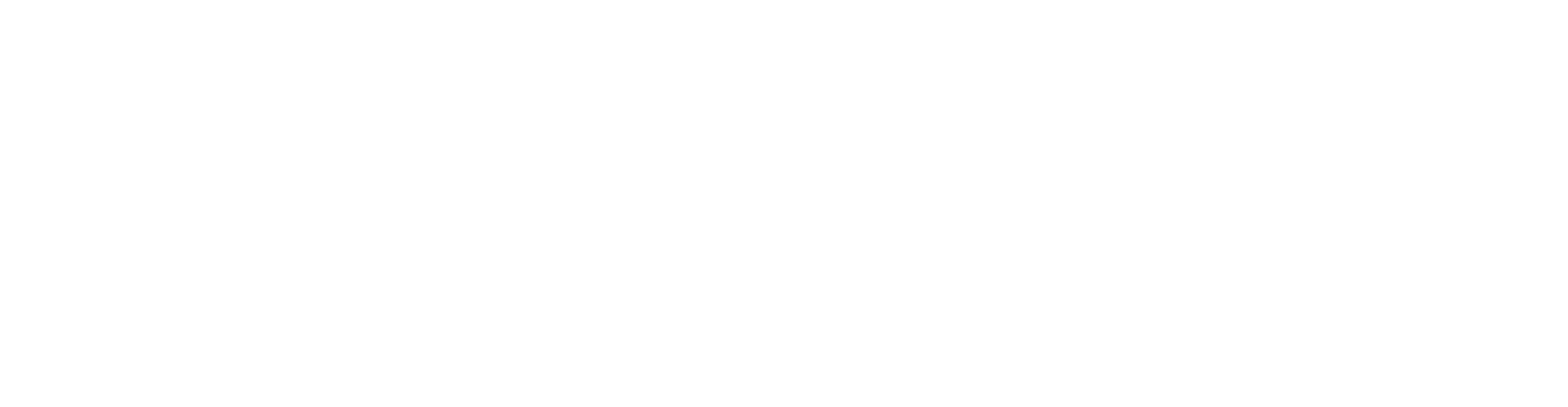 bildungsQuali logo weiß_ohne Slogan_Transparent